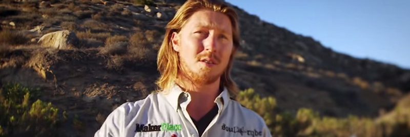 Algae Fuel Pros and Cons Algae Fuel Pros and Cons